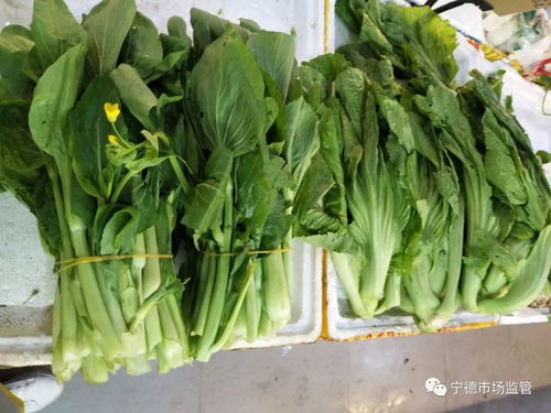 全城抽檢糧油蛋菜肉，守護疫情期間食用農(nóng)產(chǎn)品安全