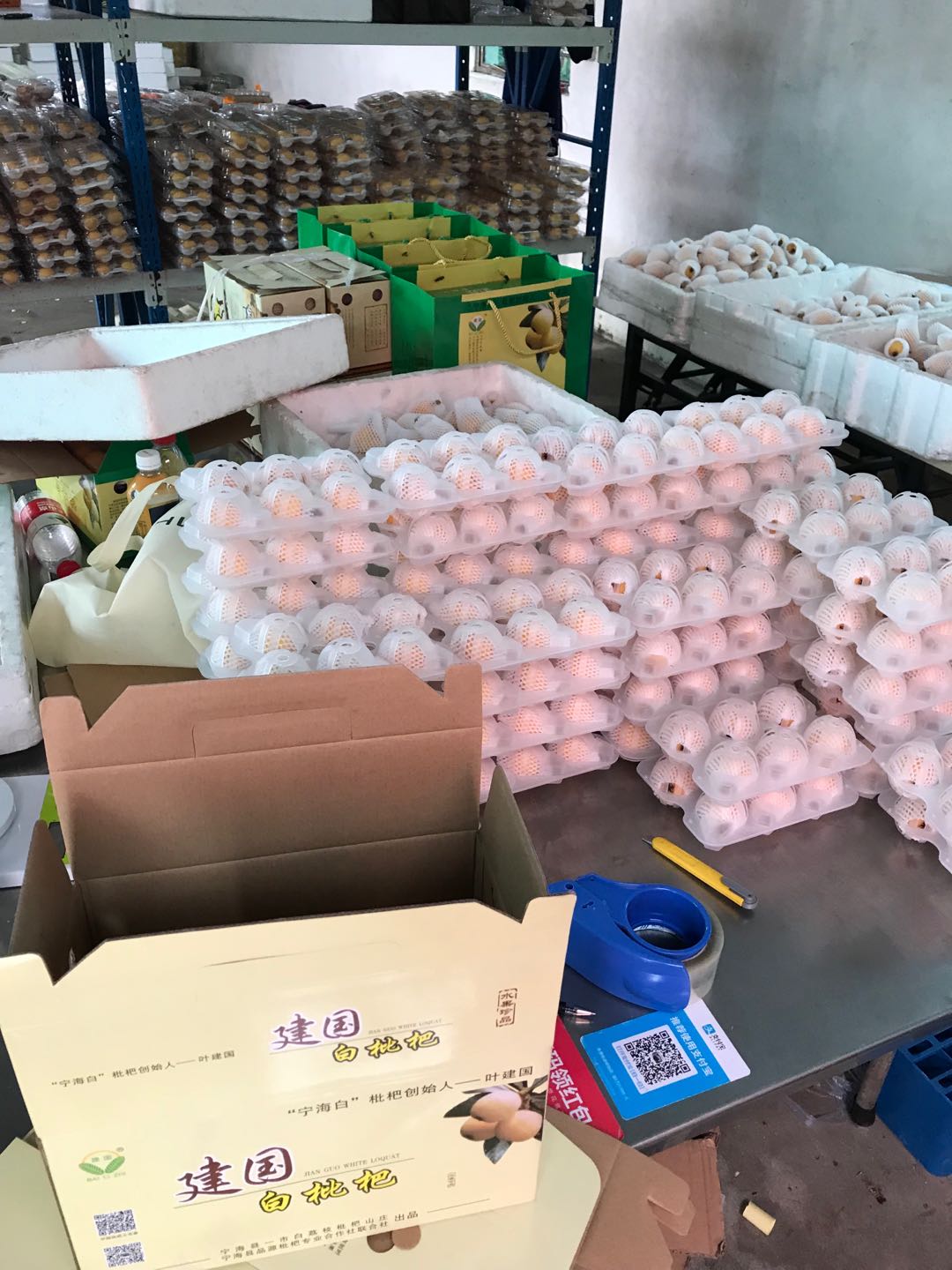 寧海白枇杷 當季鮮果，獨特風味，盡享初夏清甜
