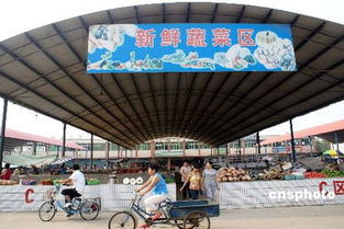 食用農產品價格迎兩月來首次回落 市場供應趨穩信號顯現