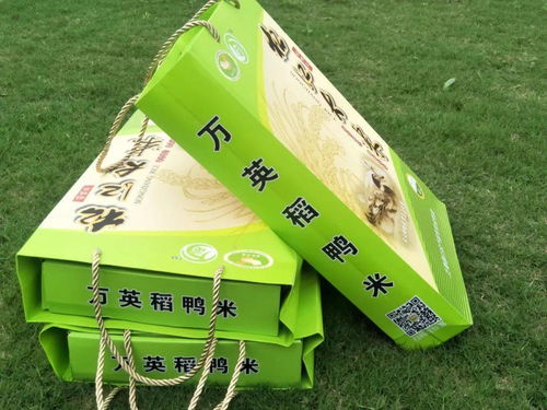 松江大米香飄申城 探訪優(yōu)秀產(chǎn)銷聯(lián)合體與批發(fā)新格局