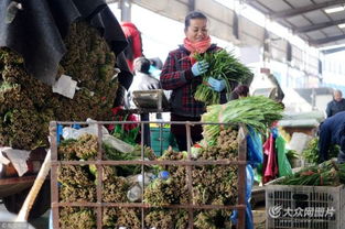 濟南憑雙證才能賣韭菜 出問題直接找源頭，食用農產品批發市場嚴把安全關